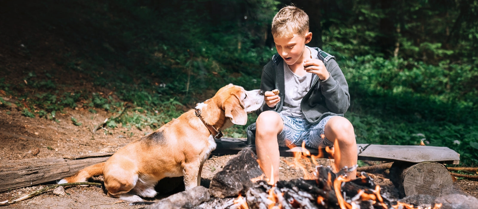 Safety Tips For Camping With Your Pet