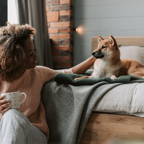 Healthy Habits for Pets - Starting the New Year Right