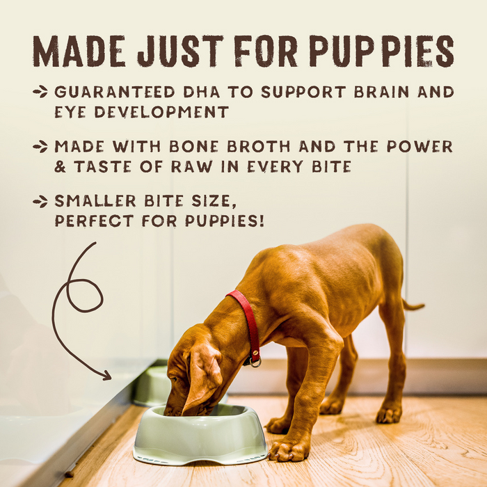 Stella & Chewy's SuperBlends Raw Blend Wholesome Grains Puppy Cage Free Chicken & Wild Caught Salmon Recipe with Superfoods