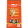 Iams ProActive Health Hairball Care Dry Cat Food