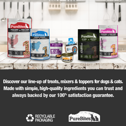 PureBites Freeze Dried Cheddar Cheese Dog Treats