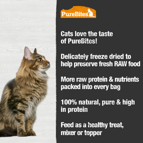 PureBites Freeze Dried Duck Liver Cat Treats