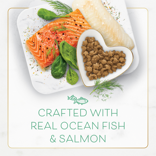 Fancy Feast Gourmet Filet Oceanfish and Salmon Dry Cat Food