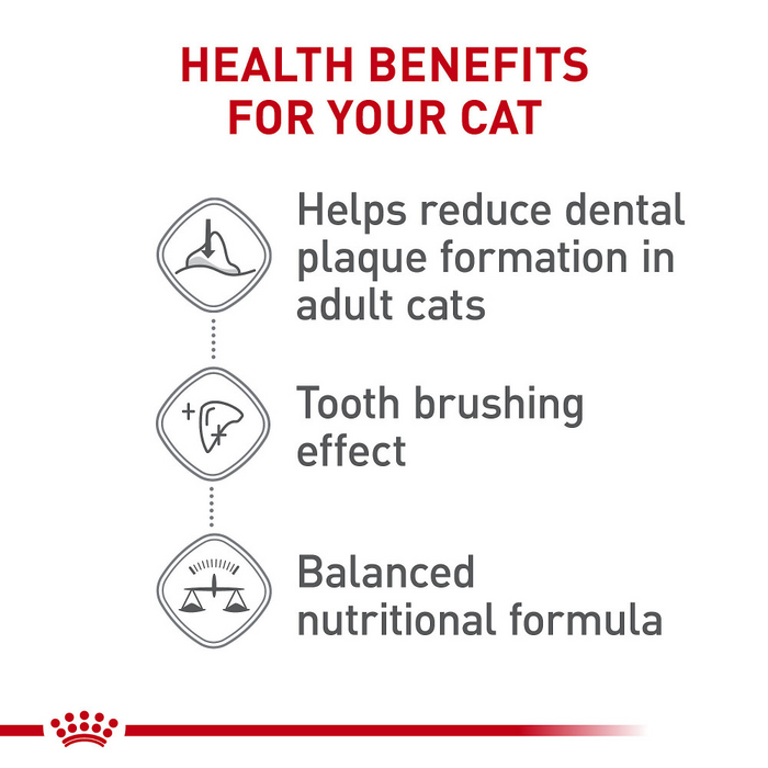 Royal Canin Feline Care Nutrition Dental Care Dry Cat Food