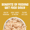 Weruva Grain Free Paw Lickin' Chicken Canned Cat Food