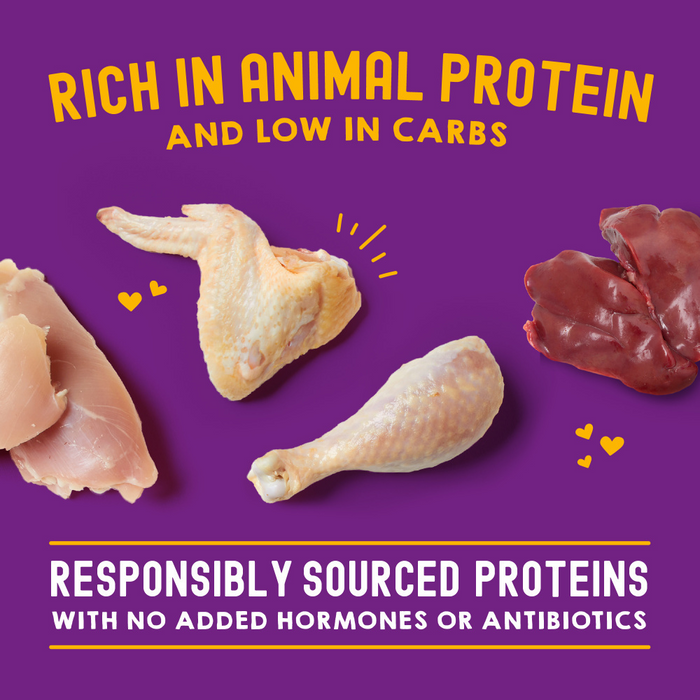 Stella & Chewy's Carnivore Cravings Morsels N Gravy Chicken & Chicken Liver Recipe Pouch Cat Food