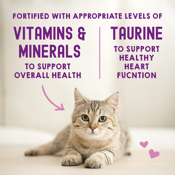 Stella & Chewy's Carnivore Cravings Morsels N Gravy Chicken & Chicken Liver Recipe Pouch Cat Food