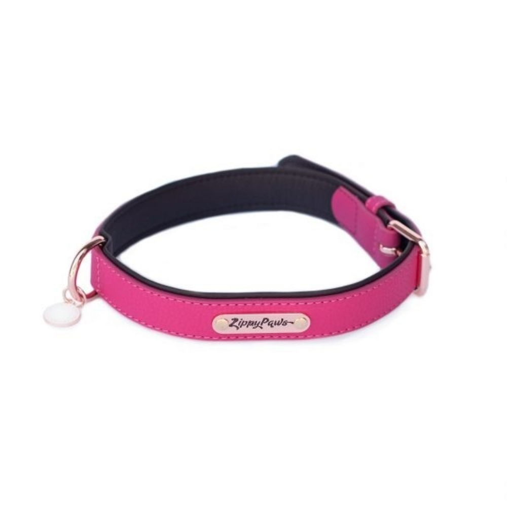 ZippyPaws Vivid Collection Magenta Dog Collar