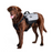 ZippyPaws Adventure Gear Graphite Backpack For Dogs