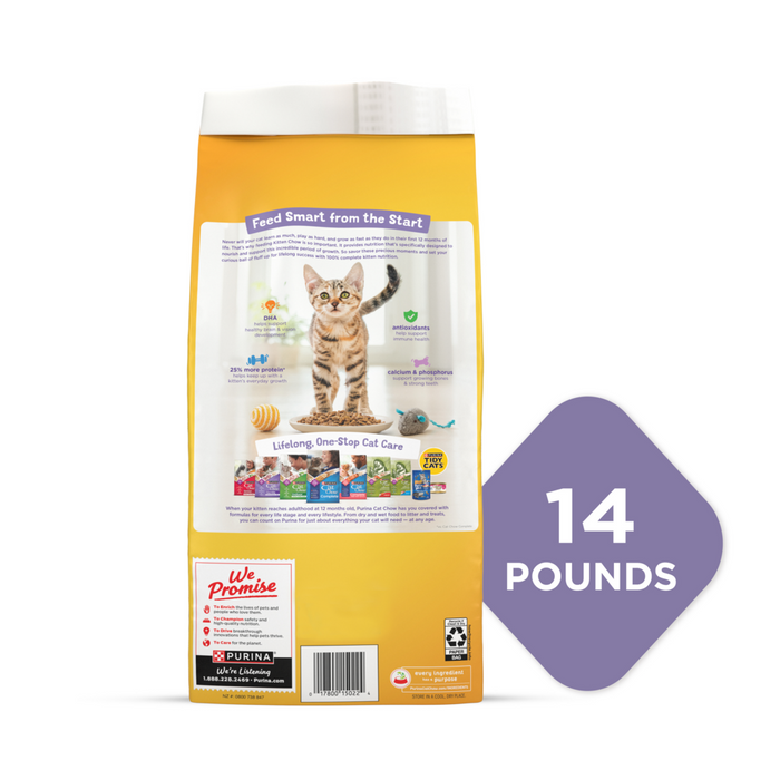 Purina Kitten Chow Dry Cat Food