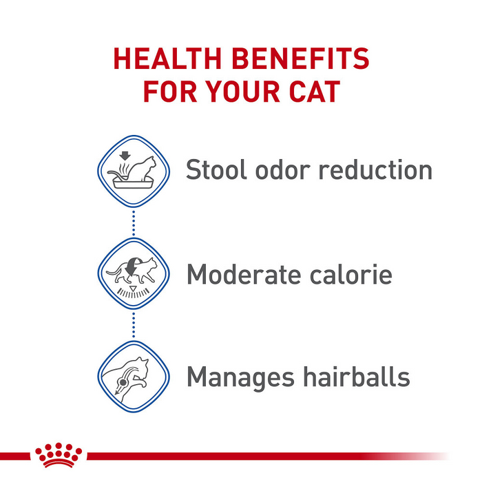 Royal Canin Feline Health Nutrition Indoor Adult Dry Cat Food