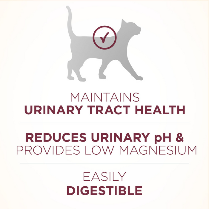 Purina ONE Urinary Tract Health Formula Dry Cat Food