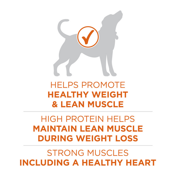 Purina ONE SmartBlend Healthy Weight Turkey Formula Dry Dog Food