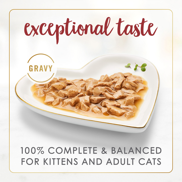 Purina Fancy Feast Gravy Lovers Beef Feast Gourmet Cat Food in Wet Cat Food Gravy