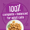 Friskies Poultry with Gravy Variety Pack Wet Cat Food