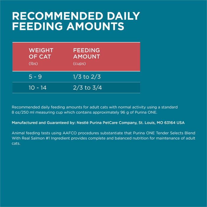 Purina ONE Tender Selects Blend Real Salmon Dry Cat Food