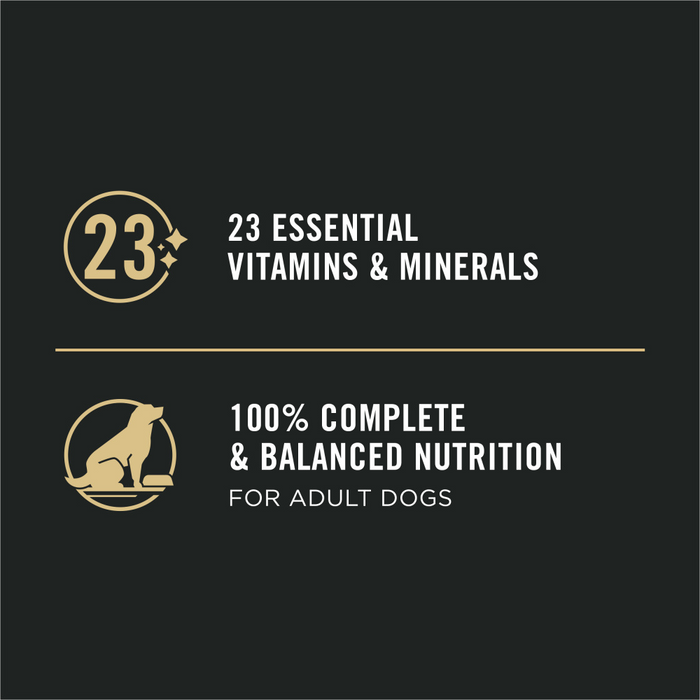 Purina Pro Plan Sensitive Skin & Stomach Salmon & Rice Pate Canned Dog Food