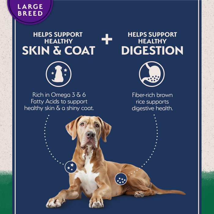 Natural Balance Limited Ingredient Lamb & Brown Rice Large Breed Recipe Dry Dog Food