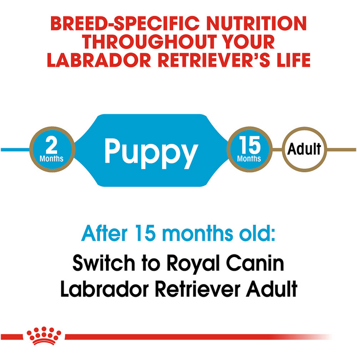 Royal Canin Breed Health Nutrition Labrador Retriever Puppy Dry Dog Food