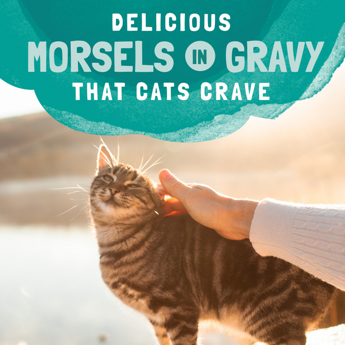 Natural Balance Original Ultra Platefulls Chicken & Salmon Recipe Morsels in Gravy Wet Cat Food Pouches