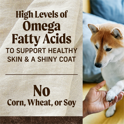 Merrick Grain Free Chicken and Sweet Potato Adult Dry Dog Food