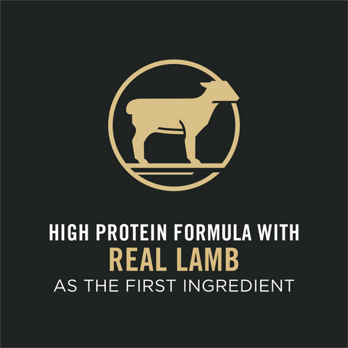 Purina Pro Plan Adult Sensitive Skin & Stomach Lamb & Rice Formula Dry Cat Food