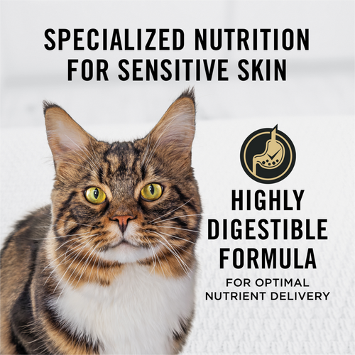 ProPlan Sensitive Skin & Stomach Lamb and Rice Dry Cat Food