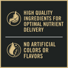 ProPlan Sensitive Skin & Stomach Lamb and Rice Dry Cat Food
