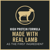 ProPlan Sensitive Skin & Stomach Lamb and Rice Dry Cat Food