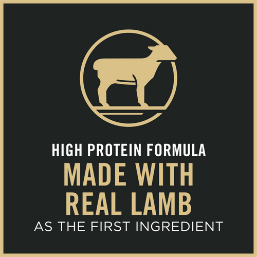 ProPlan Sensitive Skin & Stomach Lamb and Rice Dry Cat Food