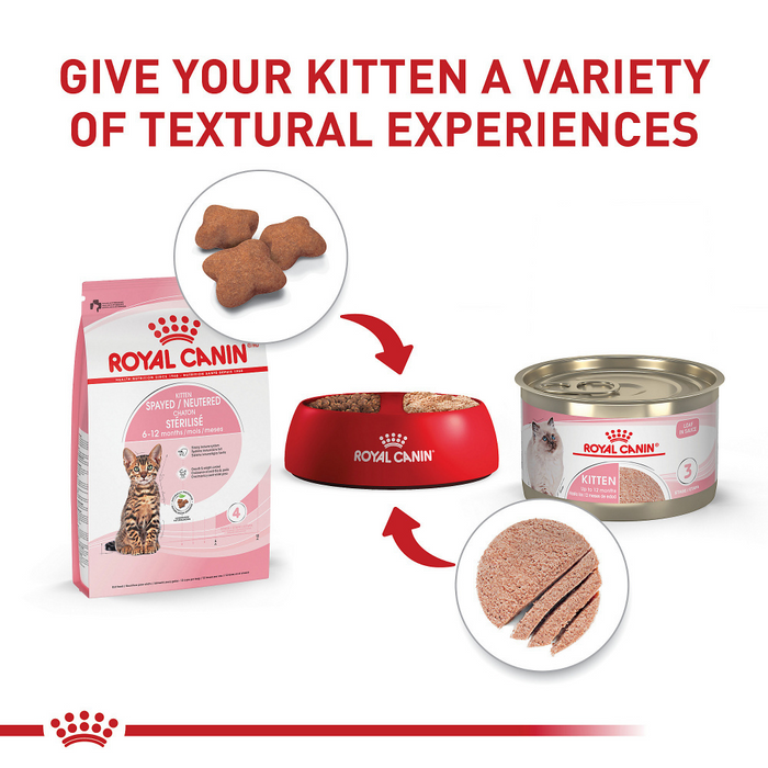 Royal Canin Spayed or Neutered Dry Kitten Food