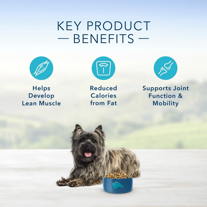 Blue Buffalo Life Protection Formula Healthy Weight Small Breed Adult Chicken & Brown Rice Recipe Dry Dog Food