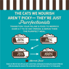 Merrick Purrfect Bistro Grain Free Duck Pate Adult Wet Cat Food