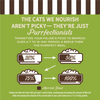 Merrick Purrfect Bistro Grain Free Turkey Pate Adult Wet Cat Food