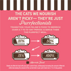Merrick Purrfect Bistro Grain Free Salmon Pate Adult Wet Cat Food