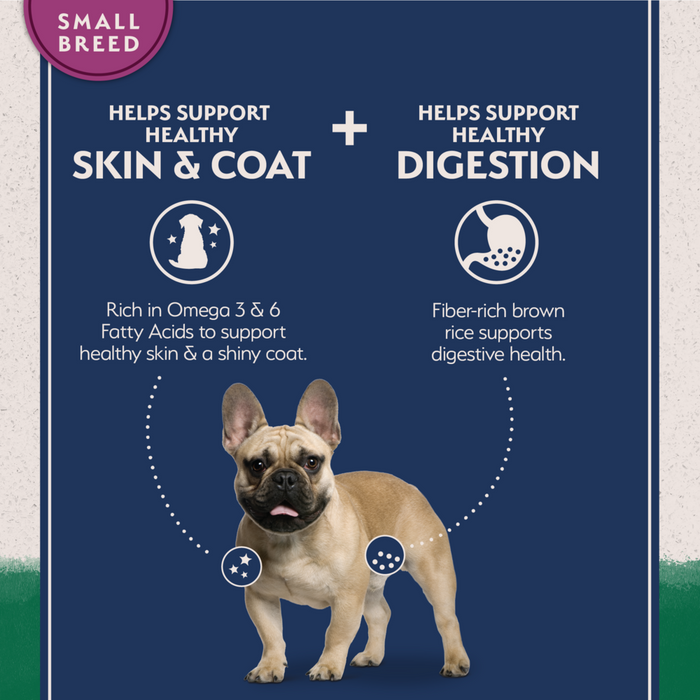 Natural Balance Limited Ingredient Lamb & Brown Rice Small Breed Recipe Dry Dog Food