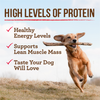 Merrick Grain Free Chunky Colossal Chicken Dinner Adult Wet Dog Food