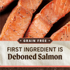 Merrick Grain Free Salmon and Sweet Potato Adult Dry Dog Food