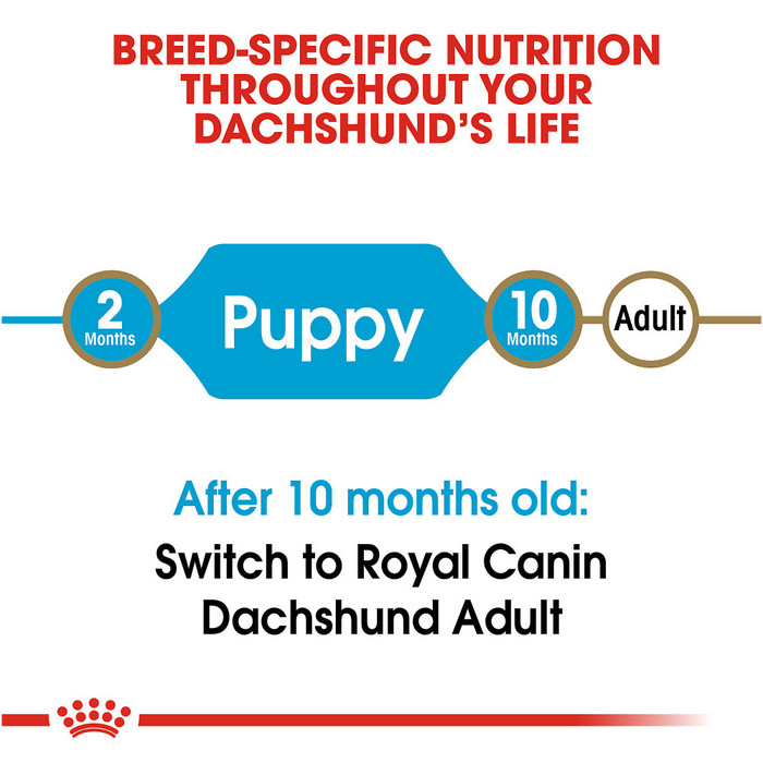 Royal Canin Breed Health Nutrition Dachshund Puppy Dry Dog Food