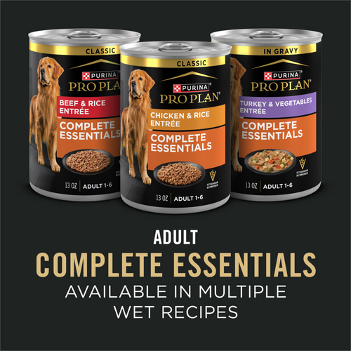 ProPlan Shredded Blend Salmon and Rice Dry Dog Food
