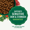 Nutro Wholesome Essentials Large Breed Puppy Pasture-Fed Lamb & Rice Dry Dog Food