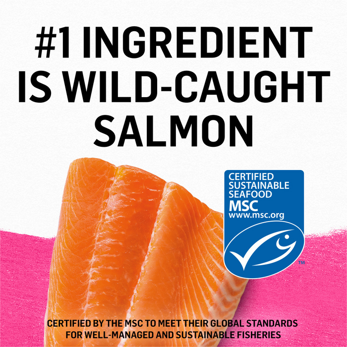 Purina Beyond Grain-Free Wild Salmon Pate Recipe Canned Cat Food