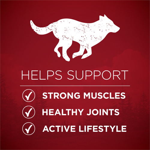 One True Instinct Turkey and Venison Dry Dog Food