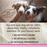 Merrick Lil' Plates Adult Small Breed Grain Free Tiny Thanksgiving Day Dinner Canned Dog Food