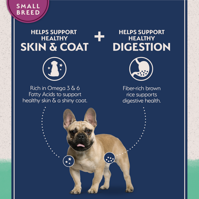 Natural Balance Limited Ingredient Grain Free Chicken & Sweet Potato Small Breed Recipe Dry Dog Food