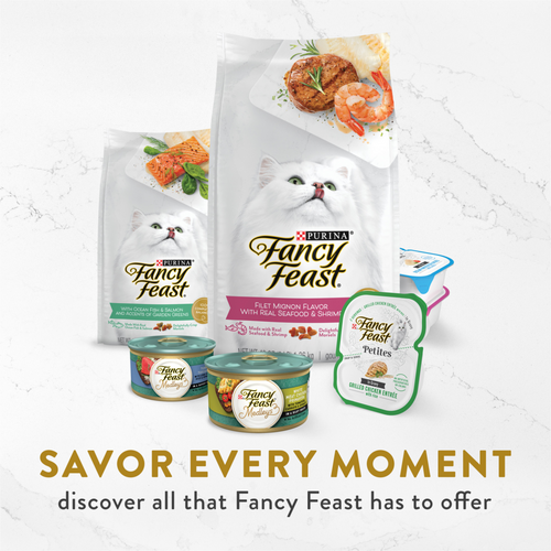 Fancy Feast Classic Broths Chicken and Vegetables Wet Cat Food