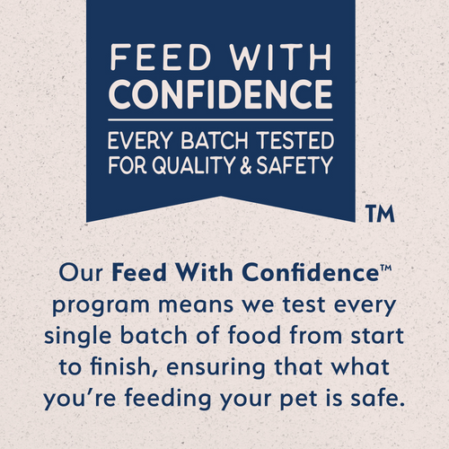 Natural Balance Limited Ingredient Puppy Dry Dog Food, Salmon & Brown Rice Recipe