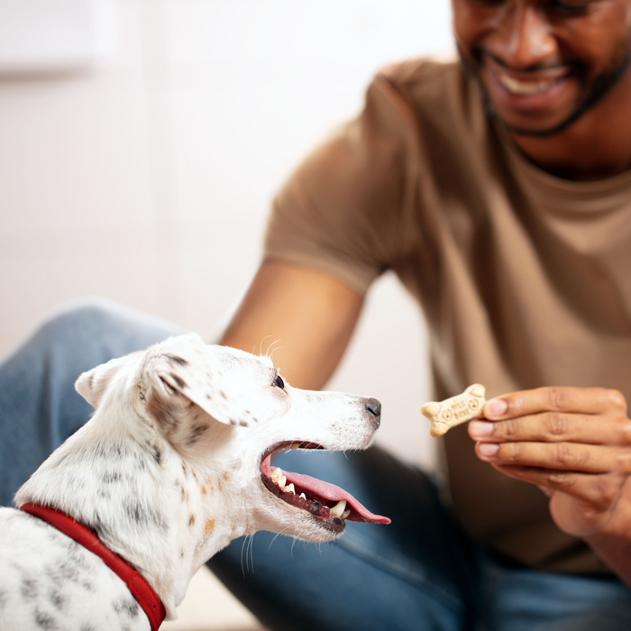 Milk-Bone Original Medium Dog Biscuits