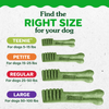 Greenies Teenie Blueberry Dental Dog Chews