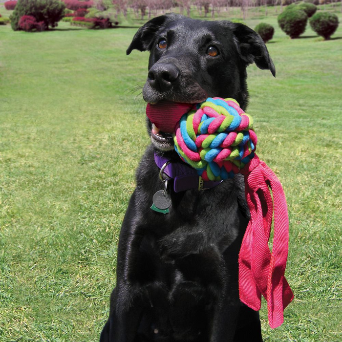 Kong Wubba Weave Dog Toy